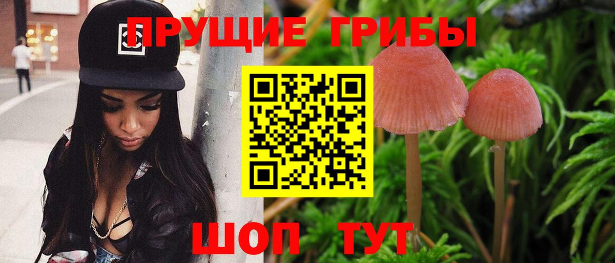 Серов  Псилоцибиновые грибы мухоморы  Вход с VPN  Галлюциногенные грибы Cubensis 