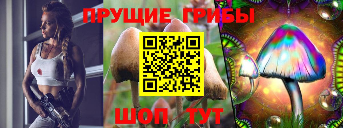 Псилоцибиновые грибы Psilocybine cubensis Серов